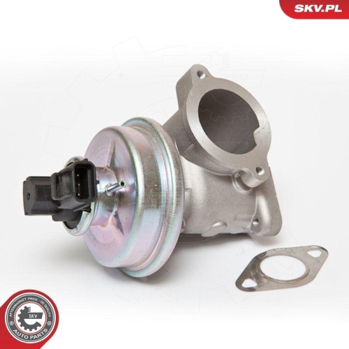 ESEN SKV AGR-Ventil 14SKV061