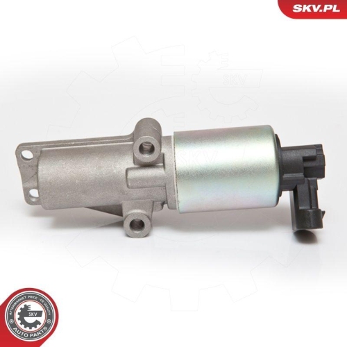 ESEN SKV AGR-Ventil 14SKV065
