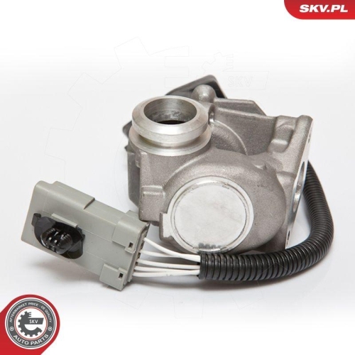 ESEN SKV AGR-Ventil 14SKV067