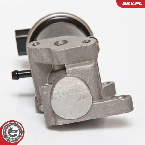 ESEN SKV AGR-Ventil 14SKV074