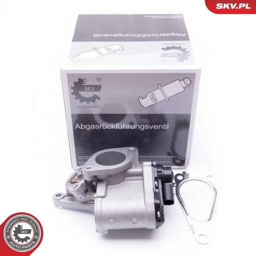 ESEN SKV AGR-Ventil 14SKV168