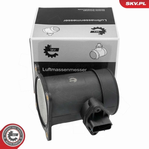 ESEN SKV Luftmassenmesser 07SKV273