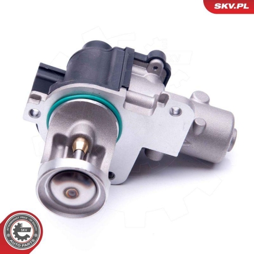 ESEN SKV AGR-Ventil 14SKV172