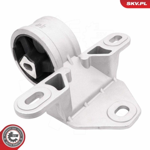 ESEN SKV Lagerung, Motor 75SKV020