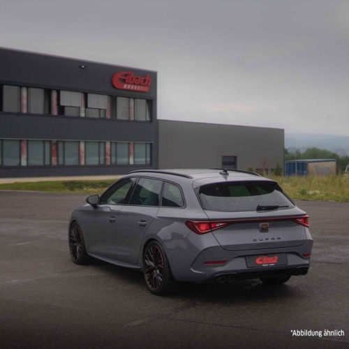 EIBACH Fahrwerkssatz, Federn Sportline E20-81-018-01-22