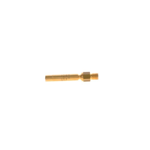 BOSCH Einspritzventil 0 437 502 054