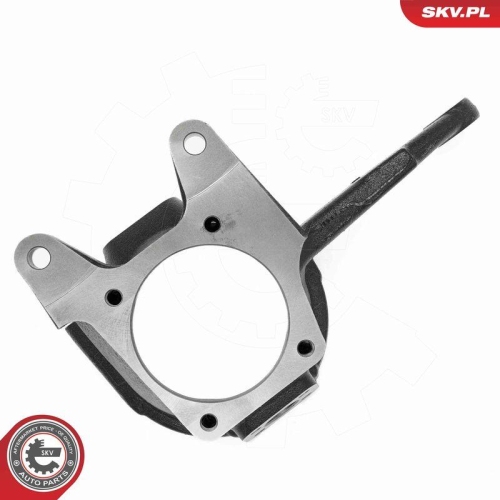 ESEN SKV Achsschenkel, Radaufh&auml;ngung