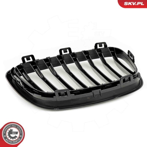 ESEN SKV Kühlergitter