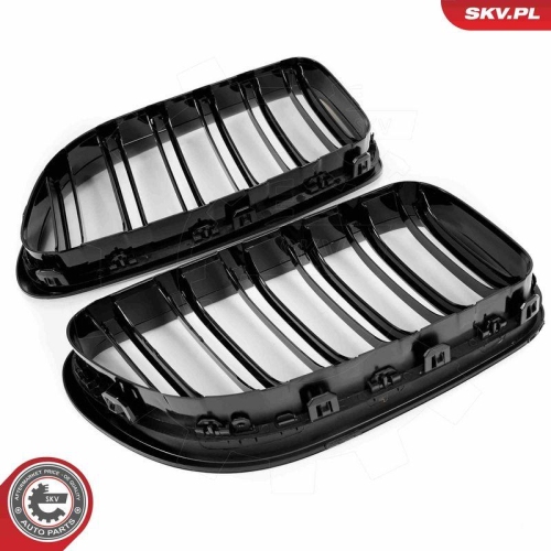 ESEN SKV Kühlergitter