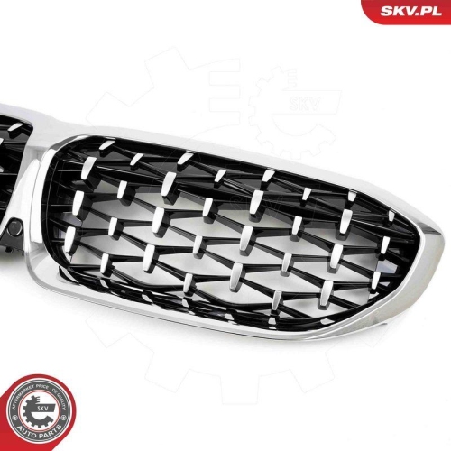 ESEN SKV Kühlergitter