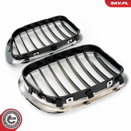 ESEN SKV Kühlergitter