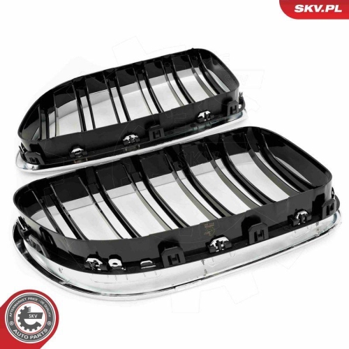 ESEN SKV Kühlergitter