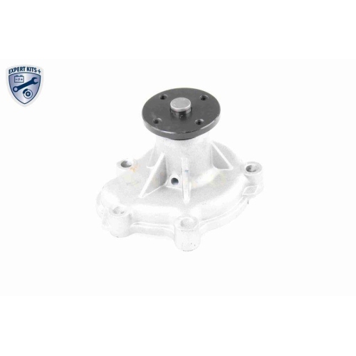 VAICO Wasserpumpe, Motork&uuml;hlung EXPERT KITS +