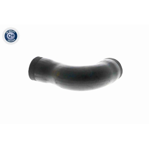 VAICO Ladeluftschlauch Q+, Erstausrüsterqualität