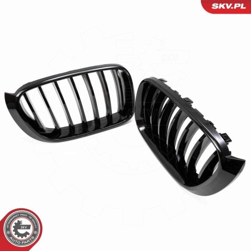 ESEN SKV Kühlergitter