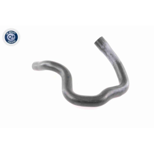 VAICO K&uuml;hlerschlauch Q+, Erstausr&uuml;sterqualit&auml;t V40-1779