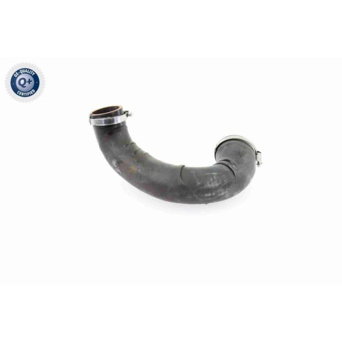 VAICO Ladeluftschlauch Q+, Erstausrüsterqualität