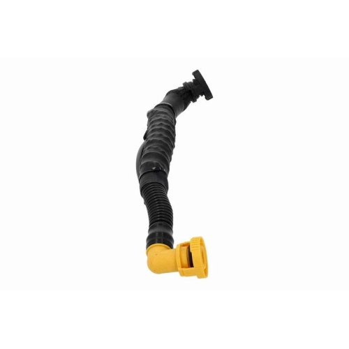VAICO Schlauch, Zylinderkopfhaubenentl&uuml;ftung Original VAICO Qualit&auml;t V24-1537
