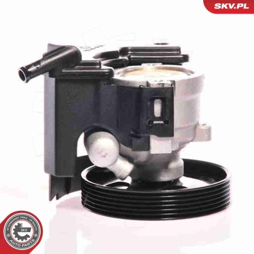 ESEN SKV Hydraulikpumpe, Lenkung 10SKV153