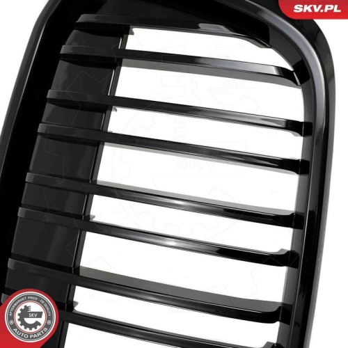 ESEN SKV Kühlergitter