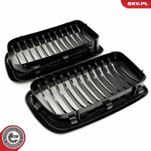 ESEN SKV Kühlergitter