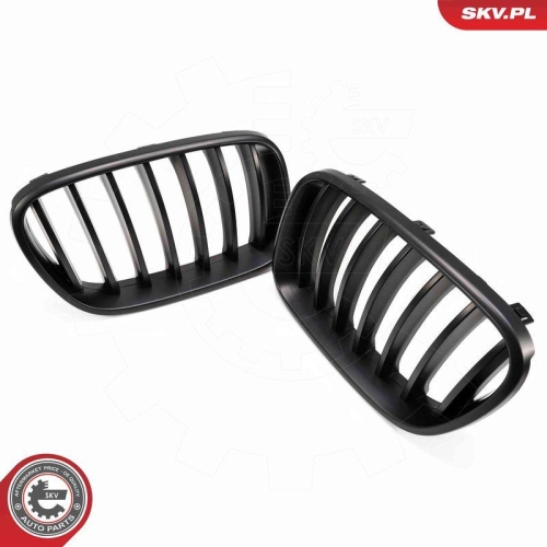 ESEN SKV Kühlergitter