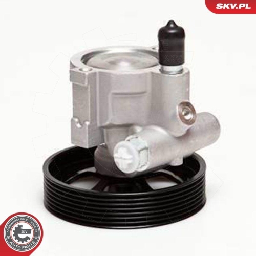 ESEN SKV Hydraulikpumpe, Lenkung 10SKV115
