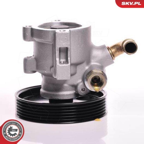 ESEN SKV Hydraulikpumpe, Lenkung 10SKV013