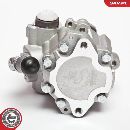 ESEN SKV Hydraulikpumpe, Lenkung 10SKV018