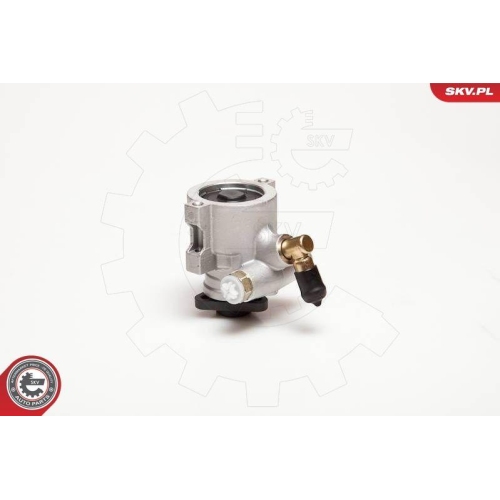 ESEN SKV Hydraulikpumpe, Lenkung 10SKV053