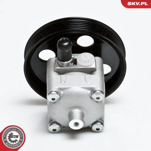 ESEN SKV Hydraulikpumpe, Lenkung 10SKV028