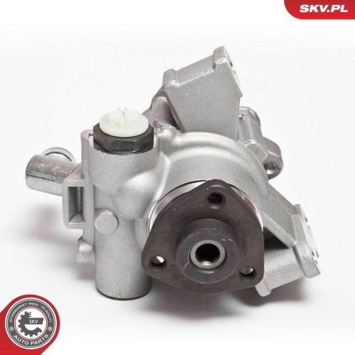 ESEN SKV Hydraulikpumpe, Lenkung 10SKV044