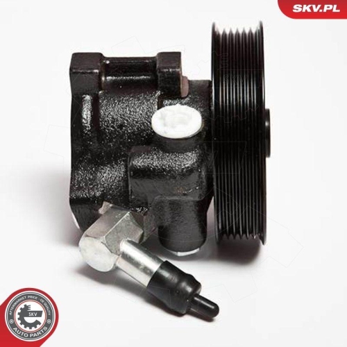 ESEN SKV Hydraulikpumpe, Lenkung 10SKV066