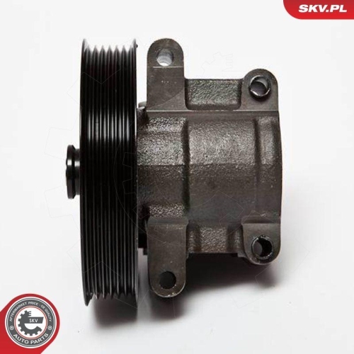 ESEN SKV Hydraulikpumpe, Lenkung 10SKV067