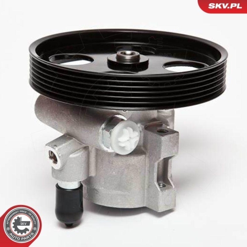 ESEN SKV Hydraulikpumpe, Lenkung 10SKV069