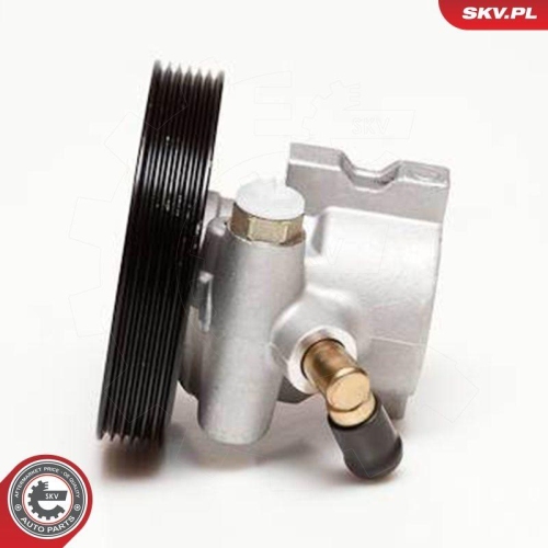 ESEN SKV Hydraulikpumpe, Lenkung 10SKV086