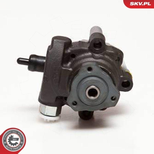 ESEN SKV Hydraulikpumpe, Lenkung 10SKV094