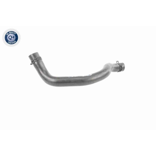 VAICO K&uuml;hlerschlauch Q+, Erstausr&uuml;sterqualit&auml;t V20-3244