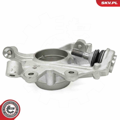 ESEN SKV Achsschenkel, Radaufhängung