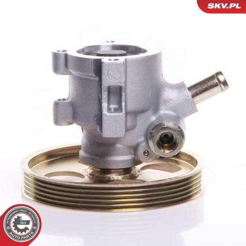 ESEN SKV Hydraulikpumpe, Lenkung 10SKV119