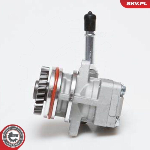 ESEN SKV Hydraulikpumpe, Lenkung 10SKV136