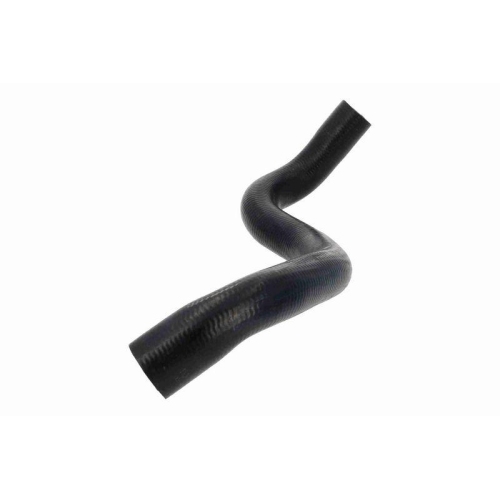 VAICO K&uuml;hlerschlauch Original VAICO Qualit&auml;t V46-1979