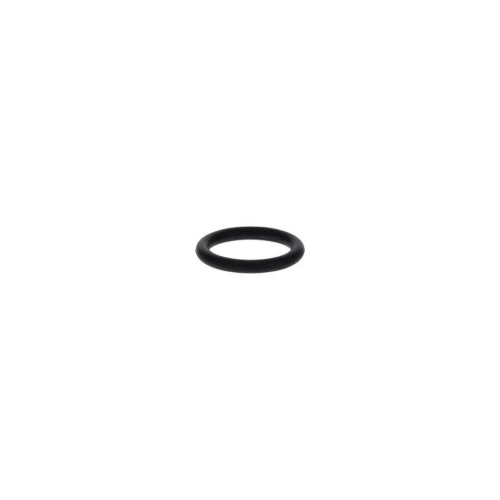 BOSCH Dichtring 1 900 210 013