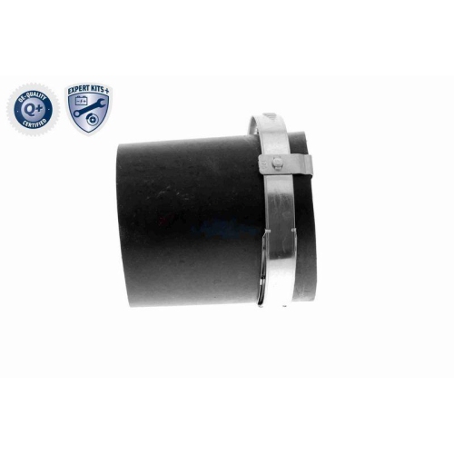 VAICO Ladeluftschlauch EXPERT KITS + V10-3780