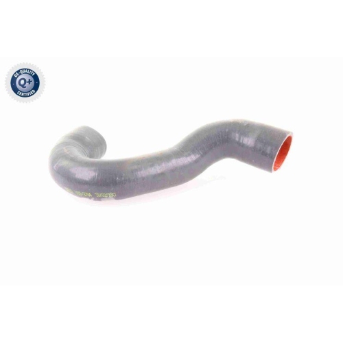 VAICO Ladeluftschlauch Q+, Erstausrüsterqualität V10-3784