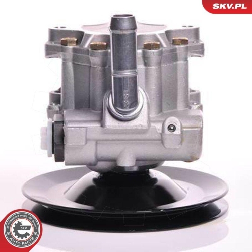 ESEN SKV Hydraulikpumpe, Lenkung 10SKV169