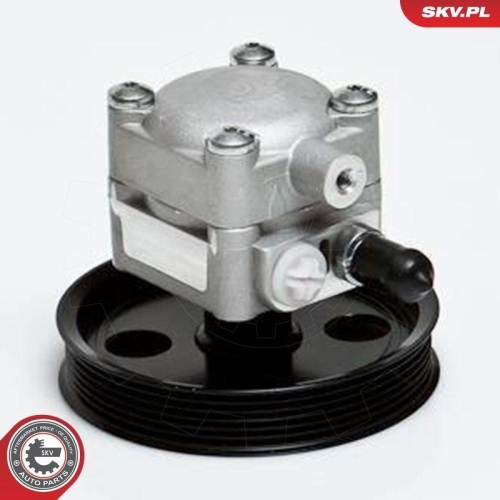 ESEN SKV Hydraulikpumpe, Lenkung 10SKV176
