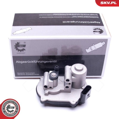 ESEN SKV Stellelement, Drallklappen (Saugrohr) 96SKV041