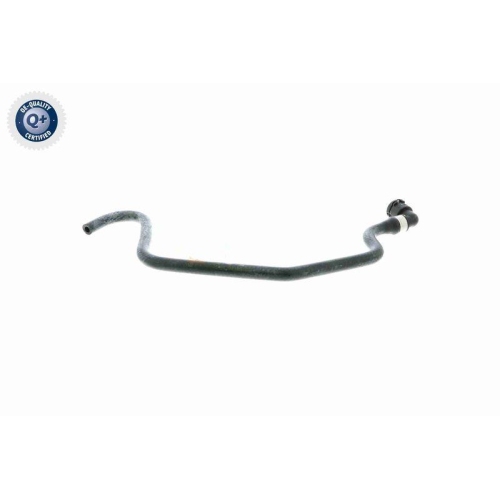 VAICO K&uuml;hlerschlauch Q+, Erstausr&uuml;sterqualit&auml;t V48-0231