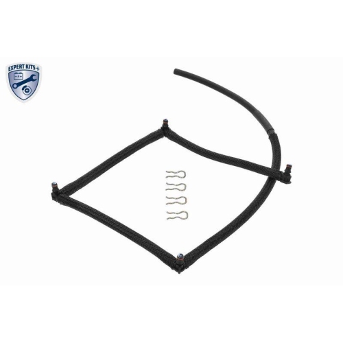 VAICO Schlauch, Leckkraftstoff EXPERT KITS + V22-0809